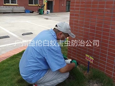 新市杀灭红火蚁工程