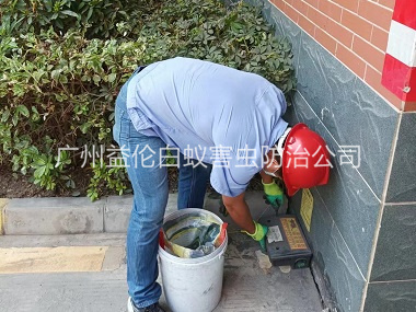 人和安装灭鼠器工程